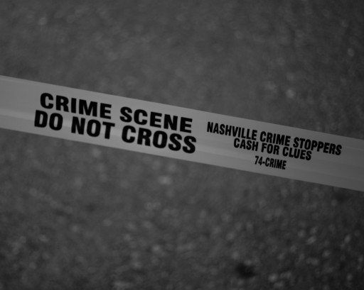 The Intricacies of Real Crime Scene Investigation: An In-Depth Analysis